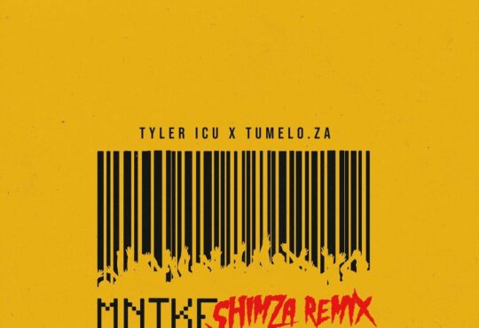 Tyler ICU, Tumelo.za & Shimza - Mnike (Shimza Remix) (feat. DJ Maphorisa, Nandipha808, Ceeka RSA & Tyron Dee)