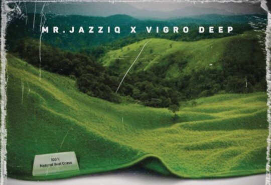 Mr JazziQ & Vigro Deep – Fede