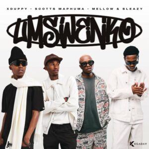 Xduppy, Scotts Maphuma, Mellow & Sleazy - Bamba (Why)