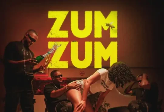 Rods Wires & Josslyn – Zumzum