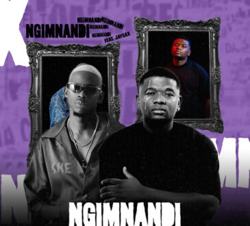 PrudiiHD, S.N.E & Theology HD - Ngimnandi (feat. Jay Sax)