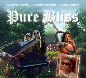 Luzyo Keys, 2woBunnies & DBN Gogo - Pure Bliss