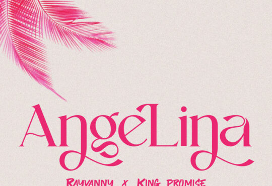 Rayvanny & King Promise - Angelina