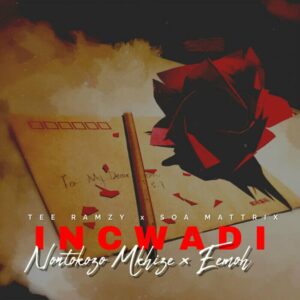 TEE Ramzy, Soa Mattrix, Nontokozo Mkhize - Incwadi (feat. Eemoh)