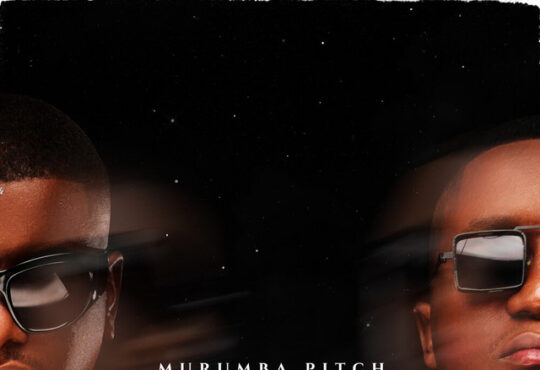 Murumba Pitch – Mngani (feat. Daliwonga)