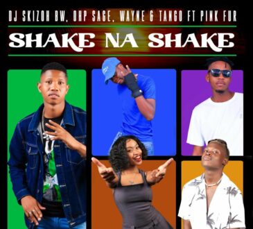 Dj Skizoh BW, OHP Sage, Wayne & Tango - Shake na Shake (feat. Pink Fur)